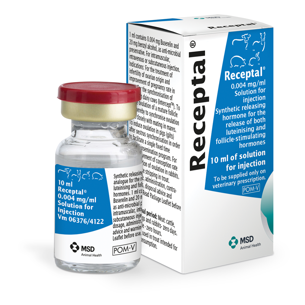 receptal_10ml_0125_packshot_0 ريسيبتال 10 مل - الصورة 1