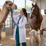 استشارات بيطرية