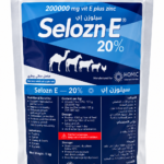 سيلوزين إي 20 % 1 ك